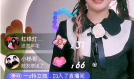 麦阳大姐爆料徒弟视频播放,揭秘幕后故事