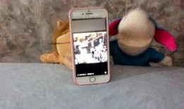 吃瓜娱乐机,带你领略趣味互动新体验